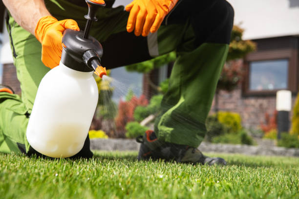 Best Residential Pest Control  in China Grove, TX