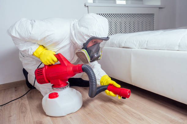 Best Commercial Pest Control Services  in China Grove, TX