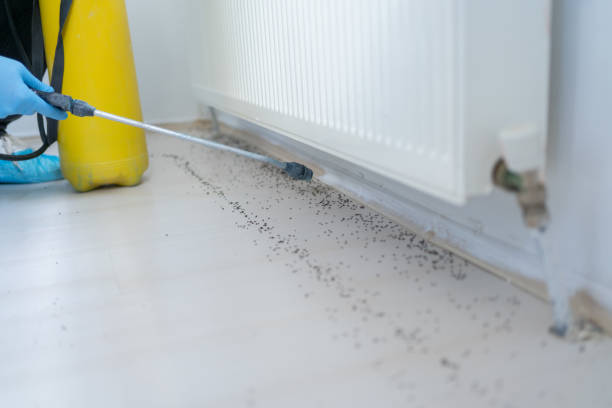 Best Best Pest Control Companies  in China Grove, TX