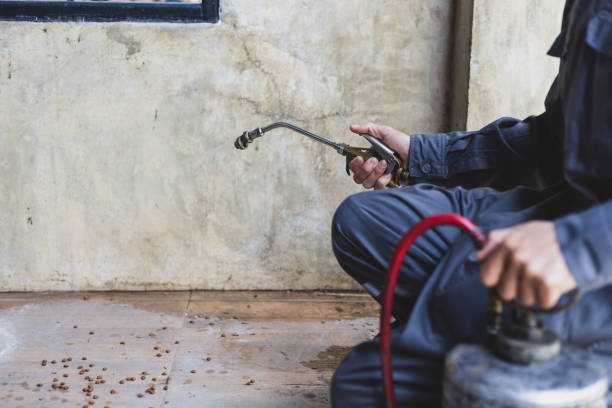 Best Affordable Pest Control Services  in China Grove, TX